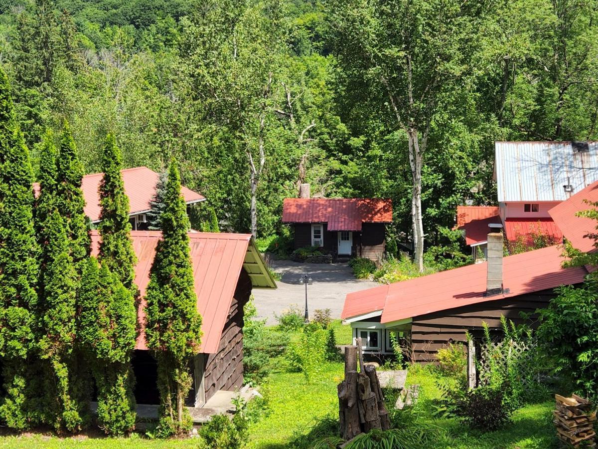 Belleayre Lodge Pine Hill Exteriör bild