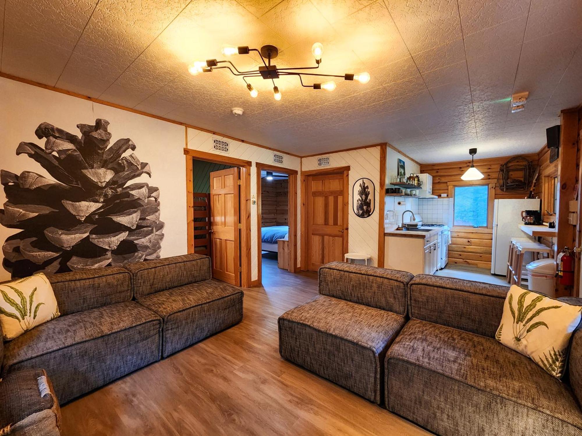Belleayre Lodge Pine Hill Rum bild